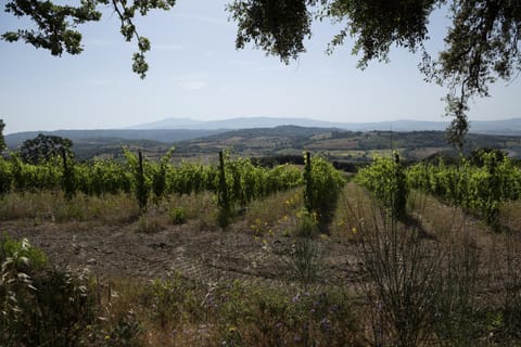 Nearby landmark, Natural landscape, Summer, View (from property/room), On site, Landmark view, Mountain view