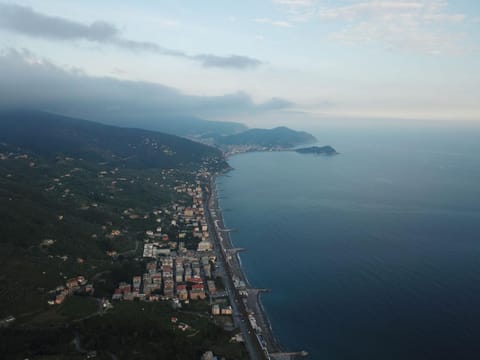 Neighbourhood, Beach