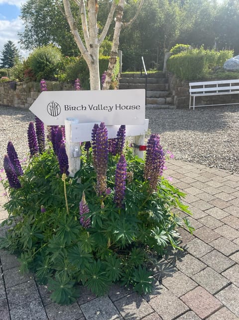 Birch Valley Accommodation Tinahely Wicklow Ireland Apartment in Wicklow, Co. Wicklow, Ireland