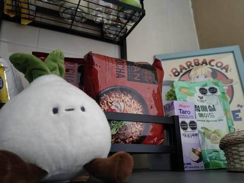 Sakura House Apartment in Santiago de Queretaro