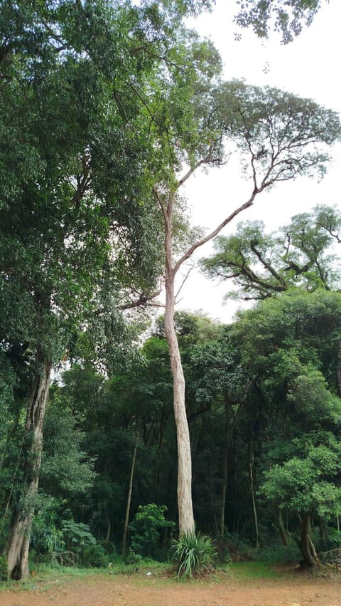 Day, Natural landscape