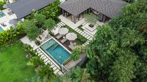 Property building, Day, Garden, Swimming pool