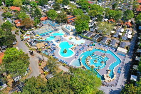 Bird's eye view, Swimming pool