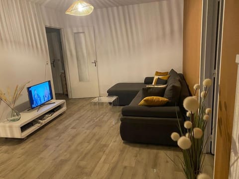 Élégance et classe sur axe majeur Metz T2 Apartment in Metz