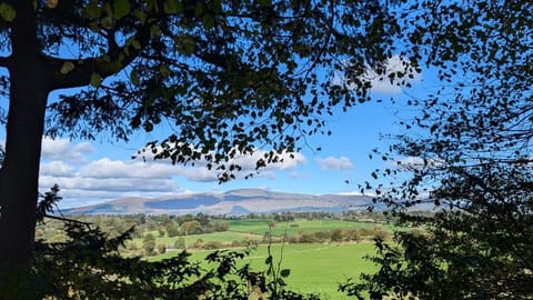 Oak Forest Cottage Apartment in Wicklow, Co. Wicklow, Ireland