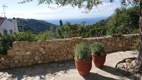 Natural landscape, Sea view
