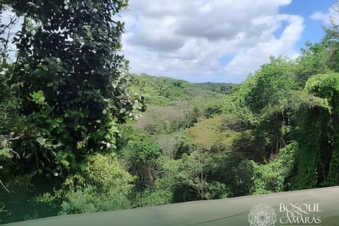 Natural landscape