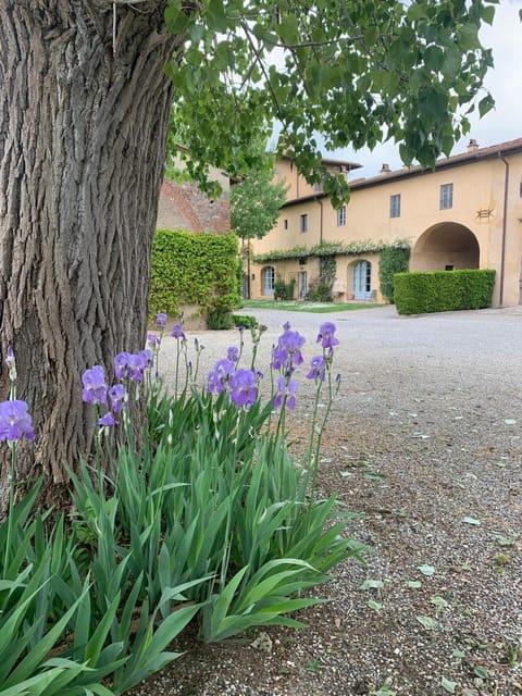 Agriturismo La Volta Farm Stay in Tuscany