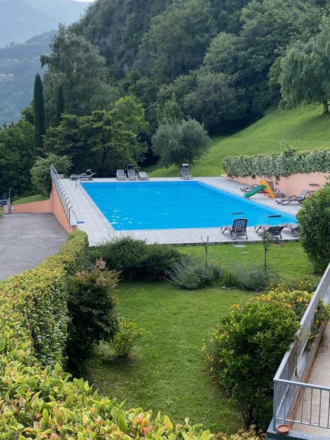 Garden, Swimming pool, sunbed