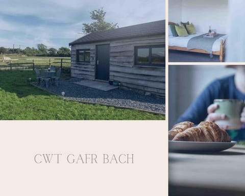 Cwt Gafr Bach Apartment in Wales