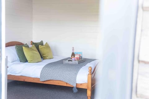 Cwt Gafr Bach Apartment in Wales