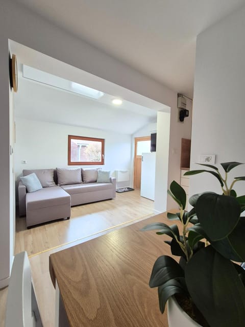 Living room, Photo of the whole room, Seating area