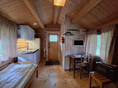 Bed, TV and multimedia, Kitchen or kitchenette, Living room, Photo of the whole room, Seating area, Dining area, kitchen