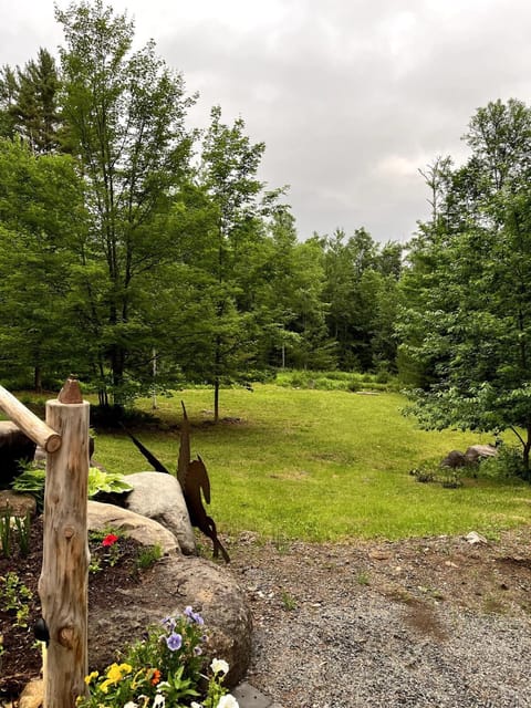 Day, Natural landscape, Garden view