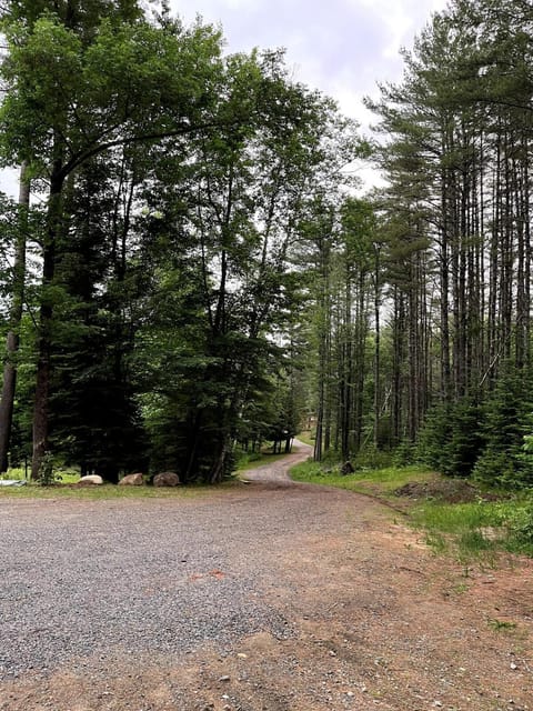 Spring, Day, Natural landscape, View (from property/room)