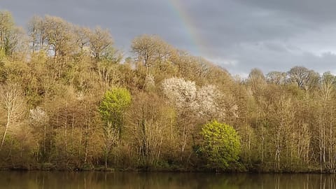 Belle vue Hastière Apartment in Wallonia, Belgium