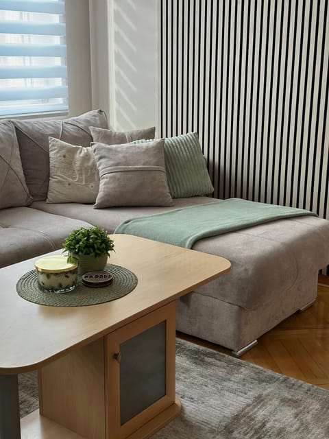 Apartman u centru Niša Apartment in Serbia