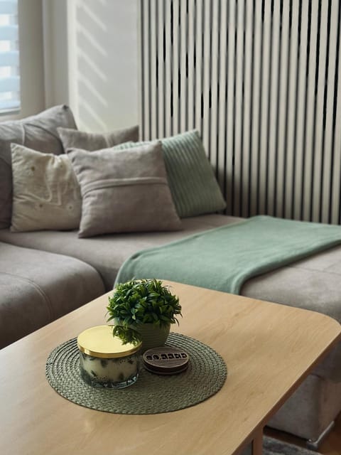 Apartman u centru Niša Apartment in Serbia