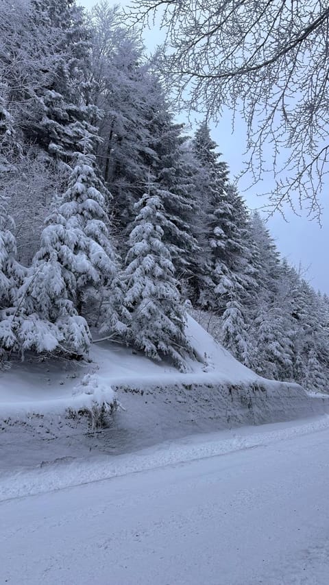 Villa Panoramica Indipendente Villa in Emilia-Romagna