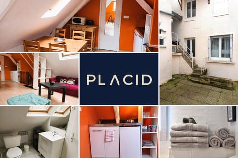 Les Toits de Grecourt - gare - wifi - centre-ville Apartment in Tours