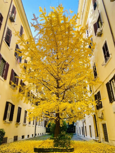 Property building, Day, Inner courtyard view
