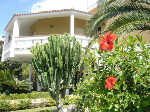 Property building, Facade/entrance, Garden