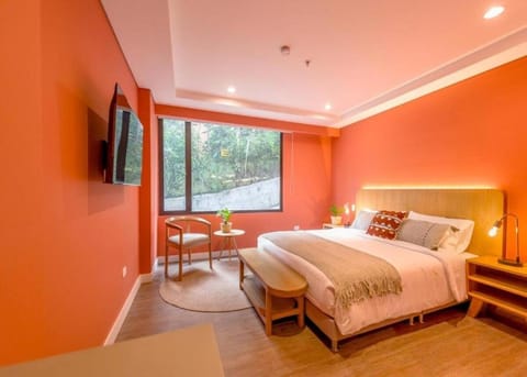 Bed, TV and multimedia, Photo of the whole room, Bedroom