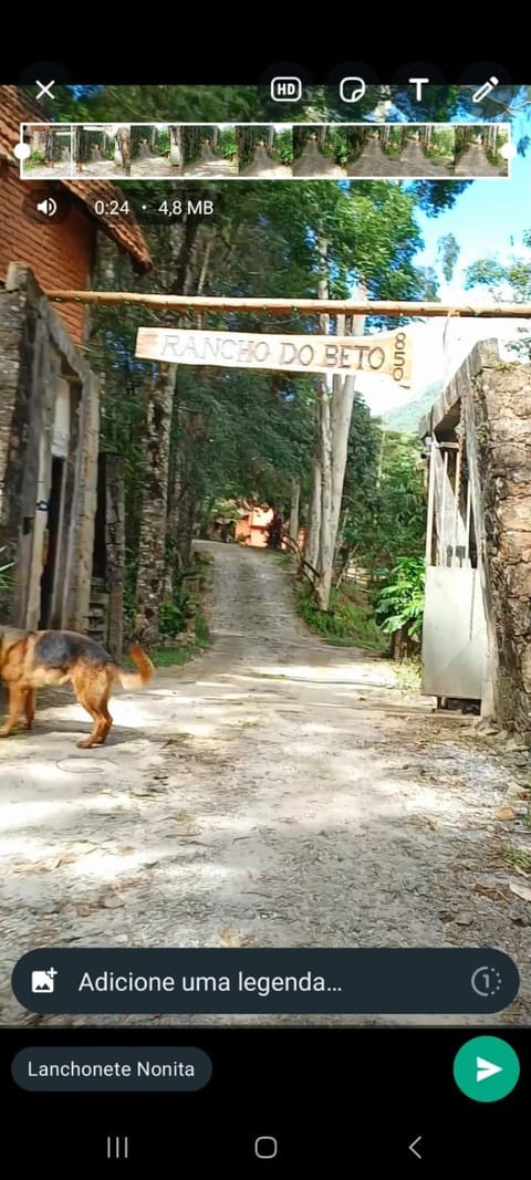 Suite 4 Nature lodge in Nova Friburgo