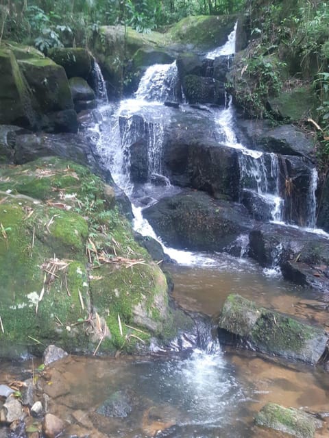 Suite 4 Nature lodge in Nova Friburgo