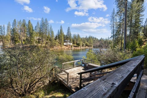 Golden Peak Cabin home Cabin in Groveland