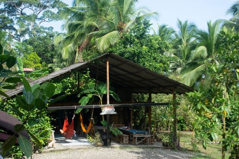 Day, Balcony/Terrace, Seating area, Garden view