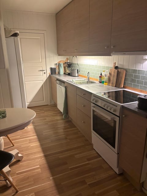 Kitchen or kitchenette, dishwasher, stove