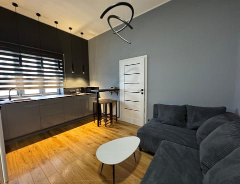 Kitchen or kitchenette, Living room, Seating area