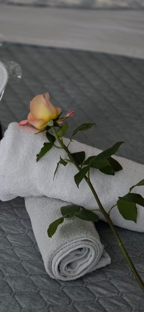 Ayurveda House Bed and Breakfast in Canton of Ticino