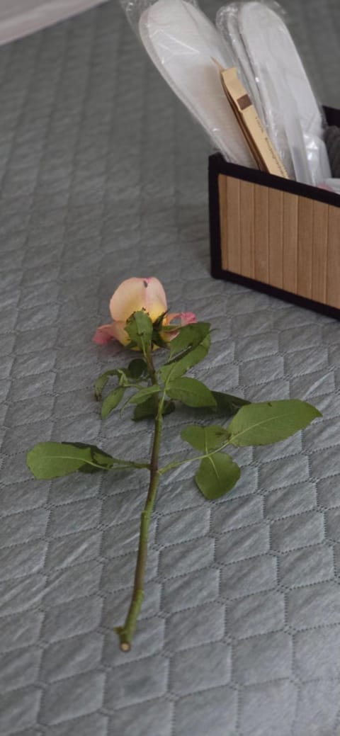 Ayurveda House Bed and Breakfast in Canton of Ticino