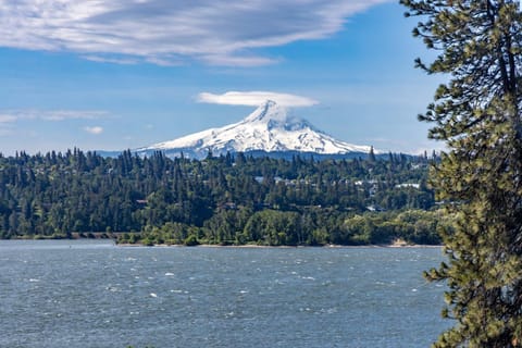 Inventor's Cottage House in Underwood