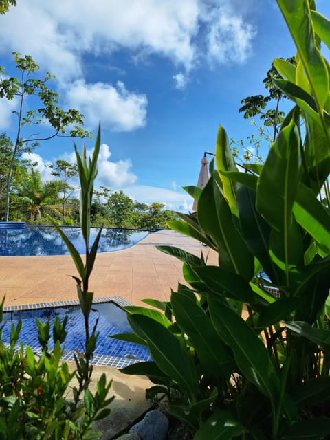 Day, Natural landscape, Pool view, Swimming pool, Swimming pool