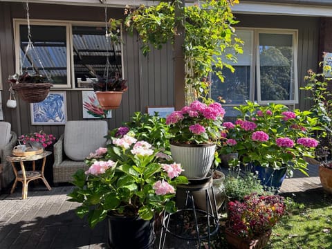 Patio, Garden, Garden