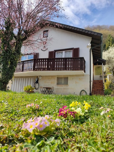 Property building, Day, Garden