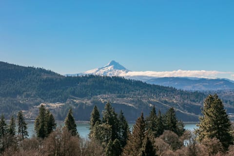 Grandview Get-A-Way House in White Salmon