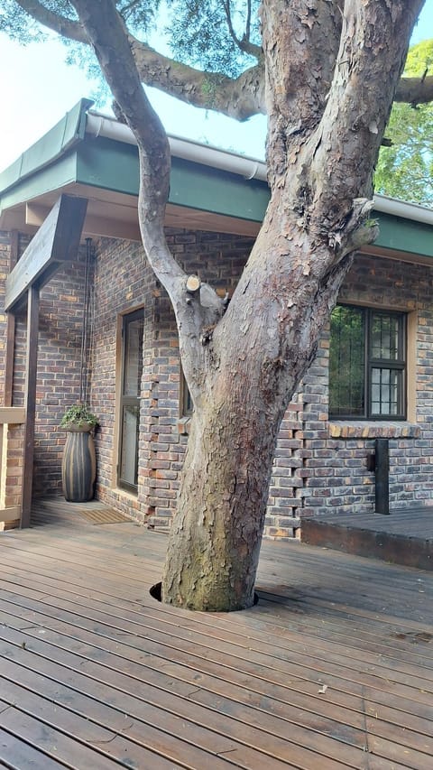 Dolphin Apartment in Knysna