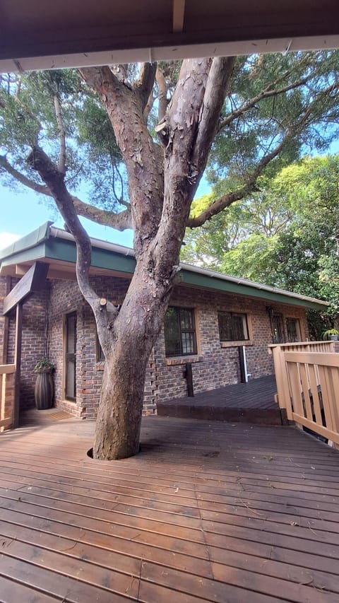 Dolphin Apartment in Knysna