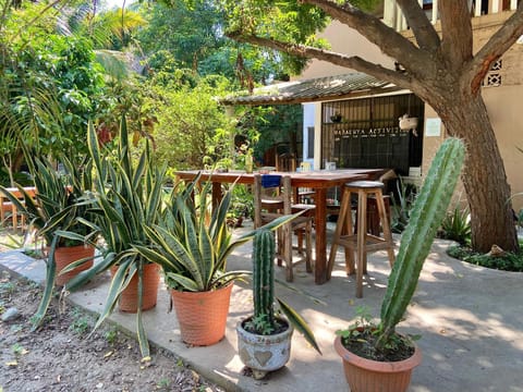 Maracuya Suites Zipolite Hotel in State of Oaxaca