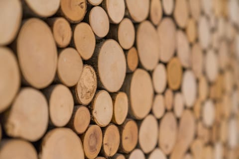 Gästehaus Carola Inn in Oberstdorf