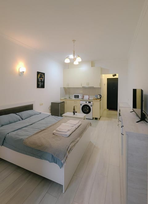 Bed, Kitchen or kitchenette, Living room, Bedroom