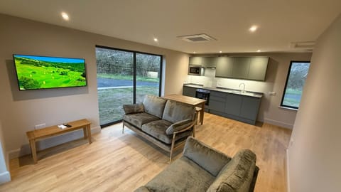 Living room, Seating area, Dining area, air conditioner