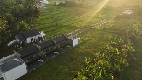 Property building, Spring, Day, Natural landscape, Bird's eye view, Garden, Garden view, Sunrise, Sunset