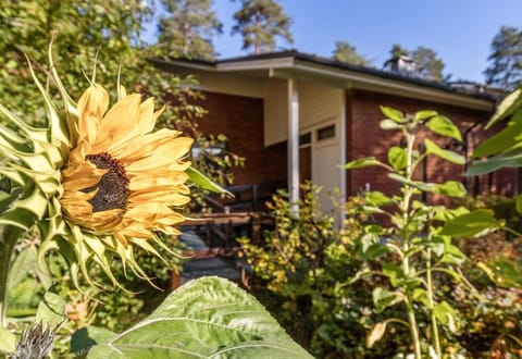 Ketunpesä Puijolla Apartment in Finland
