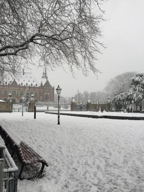 Charming tiny house Apartment in The Hague