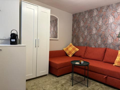 Charming tiny house Apartment in The Hague